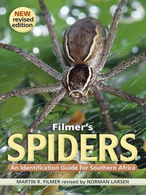 cover image of Filmer's Spiders